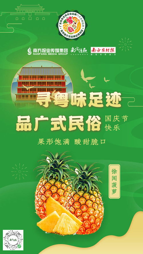 中国菠萝看广东，广东菠萝看徐闻——品味“菠萝的海”的百般风情