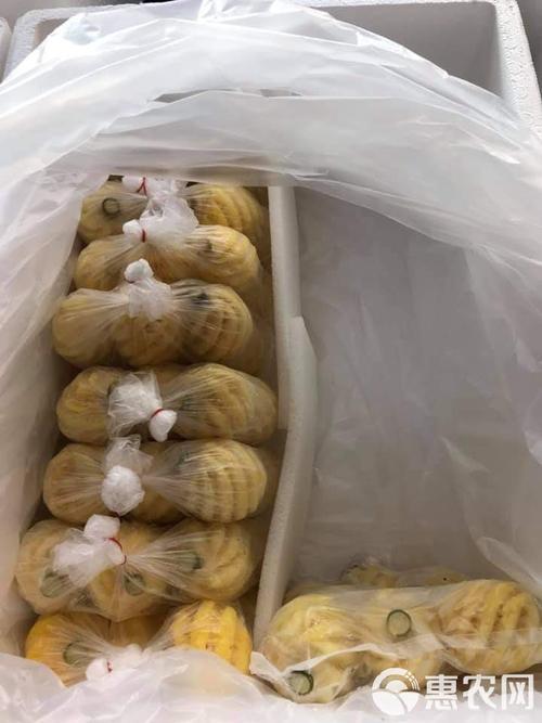 香水菠萝 泰国小菠萝/工厂产地直供