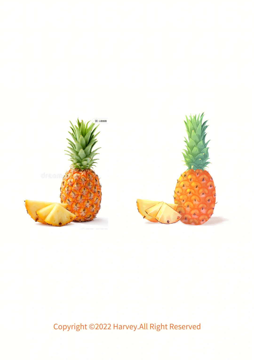 水果篇菠萝